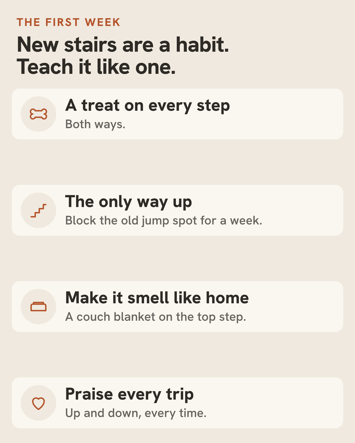 The first week with the Doxie Ramp. New stairs are a habit, so teach it like one: a treat on every step, both ways; make it the only way up and block the old jump spot for a week; a couch blanket on the top step; praise every trip, up and down, every time.