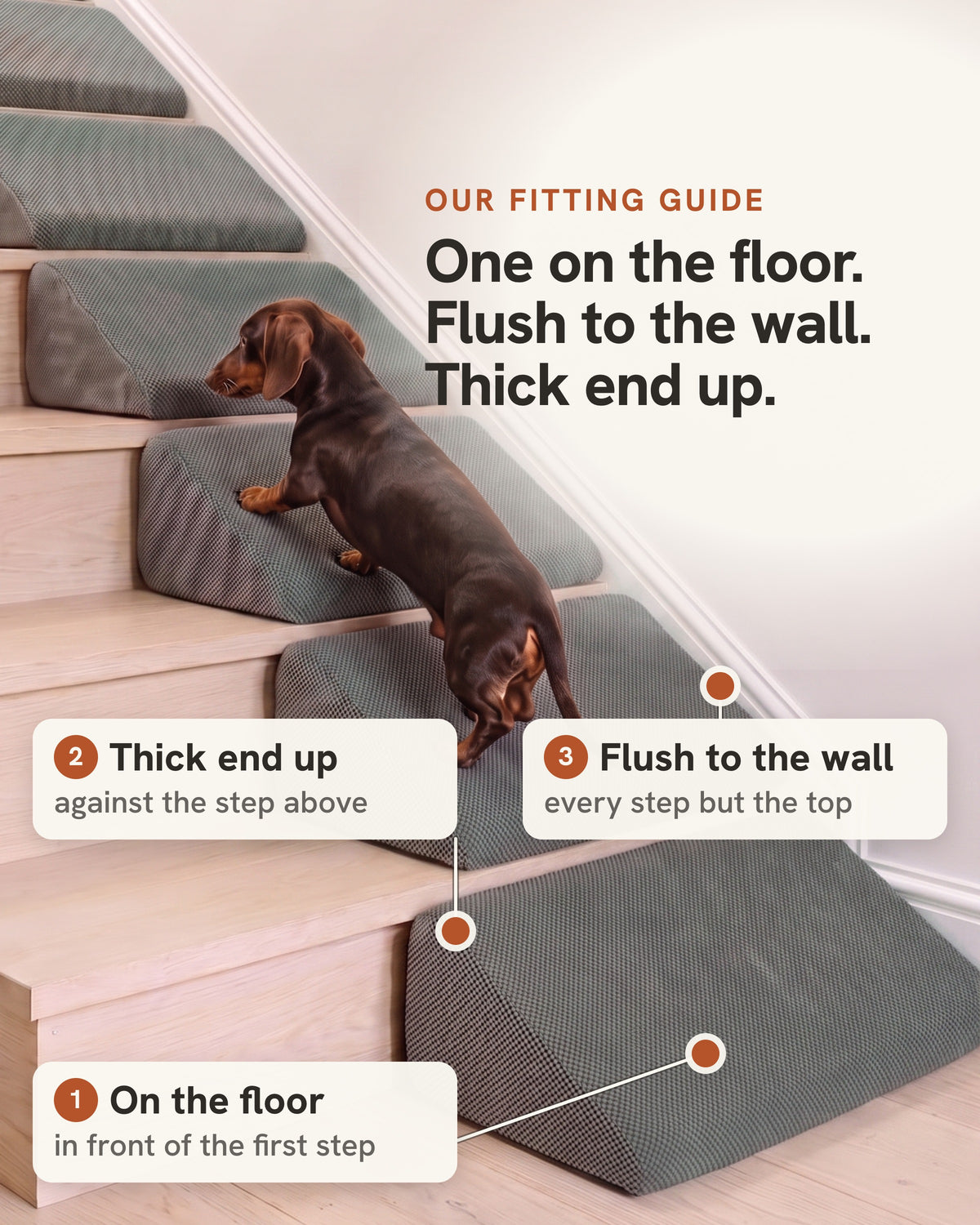 A dachshund climbing a staircase fitted with Doxie Stair Wedges. The fitting guide: one on the floor in front of the first step, the thick end up against the step above, and every wedge flush to the wall, on every step but the top.