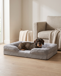 Doxie Orthopedic Bed