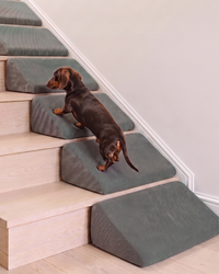 Doxie Stair Wedges
