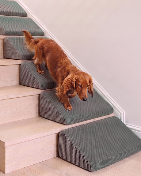 Doxie Stair Wedges