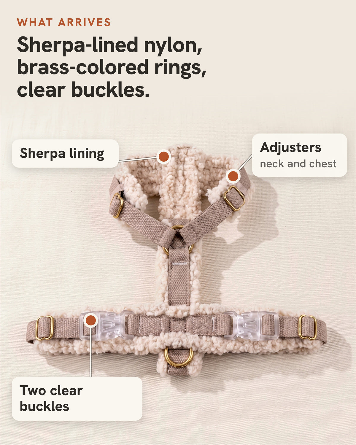 What arrives: the Doxie Harness laid flat. Sherpa-lined nylon, brass-colored rings and clear buckles, with adjusters at the neck and chest.