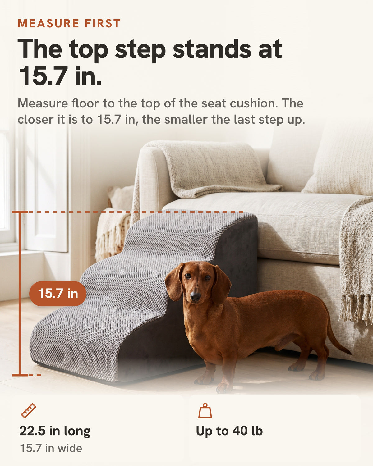 A red dachshund beside the Doxie Ramp, the top step marked at 15.7 in. Measure floor to the top of the seat cushion: the closer it is to 15.7 in, the smaller the last step up. 22.5 in long, 15.7 in wide, up to 40 lb.